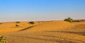 Landscape of Indian Thar Desert with copy space Royalty Free Stock Photo