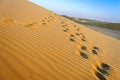 Landscape of Indian Thar Desert with copy space Royalty Free Stock Photo