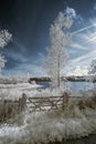 Landscape in infrared of lake in English countryside in Summer