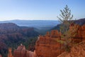 Landscape inspiration from Bryce canyon, Hoodoos and red rocks Royalty Free Stock Photo