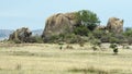 Landscape of interesting rock formation and trees surrounded by grassland with blue sky