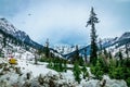 A landscape involving snow capped valley with pine trees and mountains.Paragliding going on Royalty Free Stock Photo