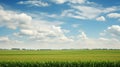 landscape iowa cornfields agricultural