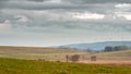 Landscape of Ireland's fields in cloudy day