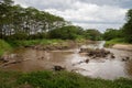 Landscape, Ishasha, Uganda