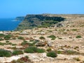Landscape of island with few plants of Mediterranean vegetation