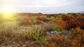 The landscape of the island of Gramvoussa, in the spring in Greece