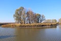 Landscape with island in lake in autumn. Trees grow on the middle of river Royalty Free Stock Photo