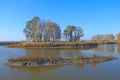 Landscape with island in lake in autumn. Trees grow on the middle of river Royalty Free Stock Photo