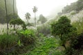 Landscape on island of Santo Antao, Cape Verde (against the light) Royalty Free Stock Photo