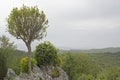 Landscape in Istria Royalty Free Stock Photo