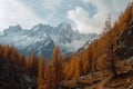 Landscape of the Italian Alps in autumn with brown larch trees and snowcapped mountains,