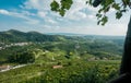 Landscape with Italian villages in wine valley Valdobbiadene, and green grapes for Prosecco wine Royalty Free Stock Photo