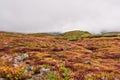 Landscape in Japanese Alps