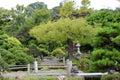 A landscape at the Japanese Tea Garden with walkways, a pond, a Japanese stone lantern and shrubs, trees, and plants