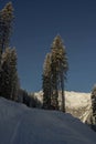 landscape of jaufental during winter in southtyrol Royalty Free Stock Photo