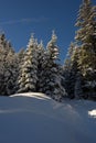 landscape of jaufental during winter in southtyrol Royalty Free Stock Photo