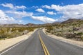 Landscape with joshua trees in the desert Royalty Free Stock Photo