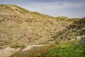 A Landscape of the Judea Desert, Israel, at Spring Time