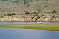 Landscape in June Lake California Royalty Free Stock Photo