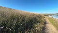 Heysen Trail Wildflowers Footage