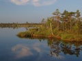 Landscape of Kakerdaja Bog Royalty Free Stock Photo