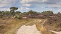 Landscape of Kalmthoutse Heide