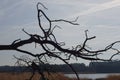 Landscape at the Kalmthoutse Heide