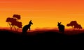 Landscape kangaroo silhouette at the sunset