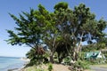 Landscape of Karikari Peninsula New Zealand