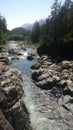 Landscape of Kennedy River Falls, British Columbia, Canada Royalty Free Stock Photo