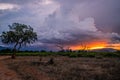 Landscape in Kenya Africa at sunset. view of the savannah Royalty Free Stock Photo