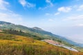 Landscape at Khaoko, Phetchapun of Thailand Royalty Free Stock Photo