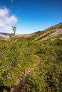 Landscape of the Khibiny mountains with bushes, trees and a mountain peaks on a sunny day. Kola Peninsula, Russia