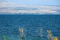 Landscape in the Kineret lake (Sea of Galilea), Tiberias, Northern Israel Royalty Free Stock Photo