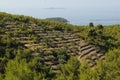 Landscape of the Korcula island with Lastovo island at the background, Croatia Royalty Free Stock Photo