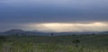 Landscape, kruger bushveld, Kruger national park, SOUTH AFRICA Royalty Free Stock Photo