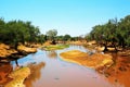 Landscape of the Kruger National Park in South Africa.