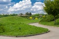 Green summer landscape in the Kyiv Botanical Garden