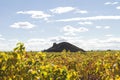 Landscape in La Mancha plain with vineyards