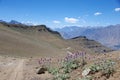 Landscape in Ladakh, India Royalty Free Stock Photo