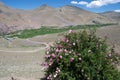 Landscape in Ladakh, India Royalty Free Stock Photo