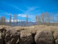 Landscape of Lah ladakh, India Royalty Free Stock Photo