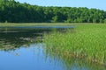 Landscape at the lake Royalty Free Stock Photo