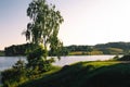 Landscape with a lake and birch tree Royalty Free Stock Photo