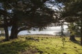 Landscape with lake Coila in the background. Bingie. Australia. Royalty Free Stock Photo