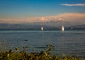 Landscape of the Lake Constance or Bodensee in Germany