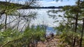 Landscape with a lake covered with ice, and tree trunks in the forest on the shore in winter, early spring or autumn day Royalty Free Stock Photo