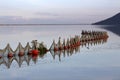 A landscape on the lake. Decorative nets with one Common kingfisher and one River gull perched on them. With reflection. Royalty Free Stock Photo