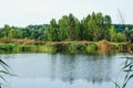 Landscape: lake in the forest Royalty Free Stock Photo